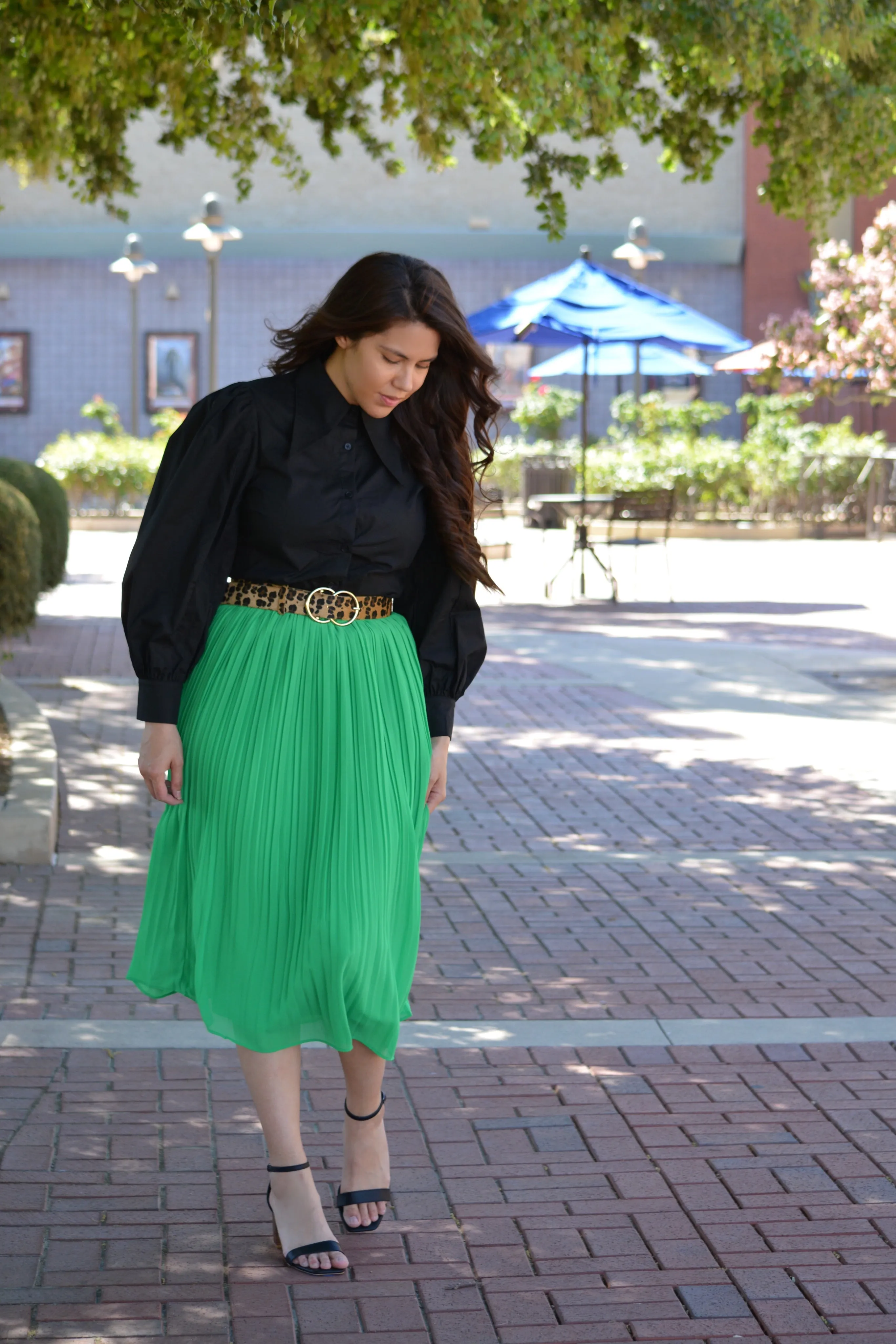 Zinnia Black Pointed Collar Top