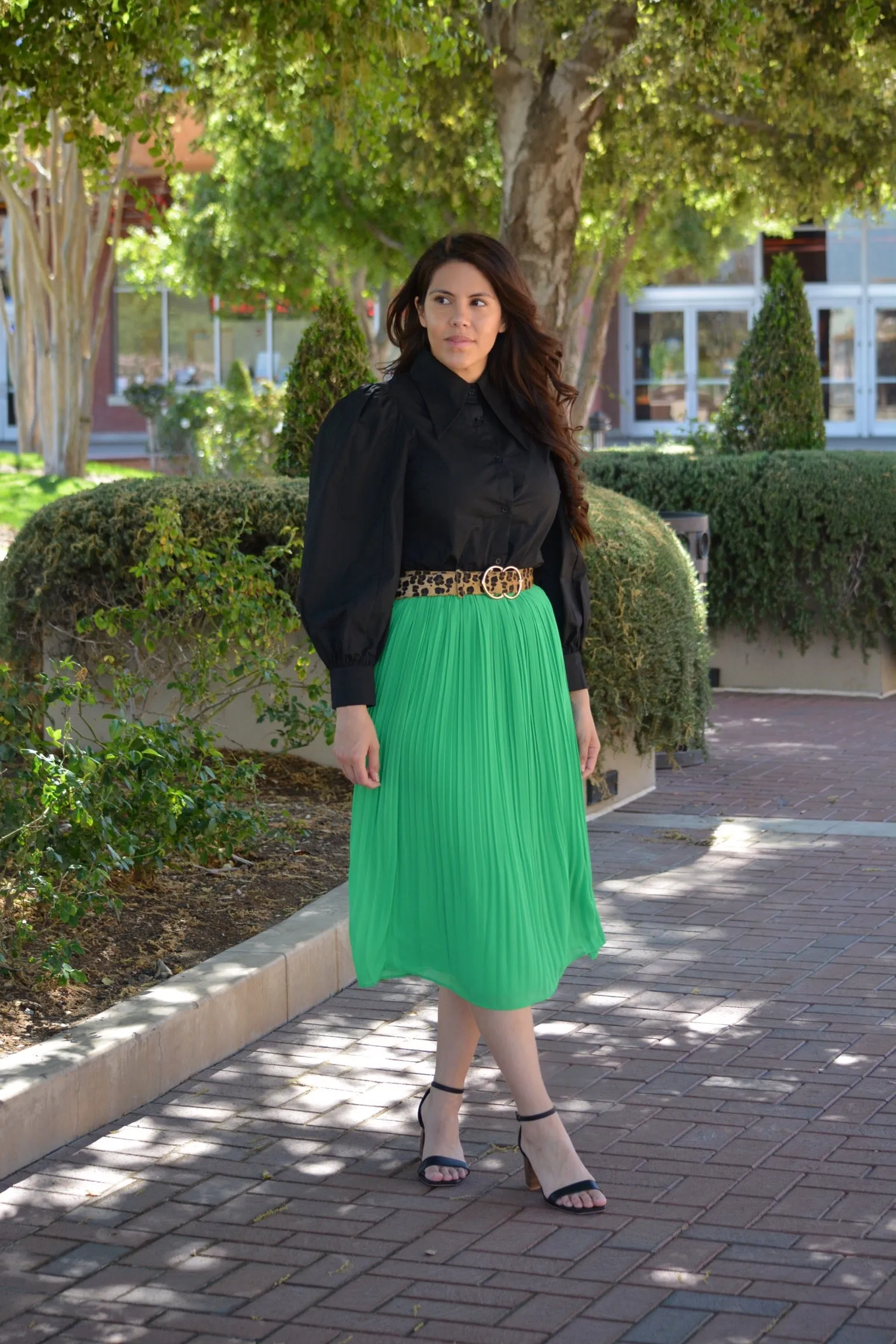 Zinnia Black Pointed Collar Top